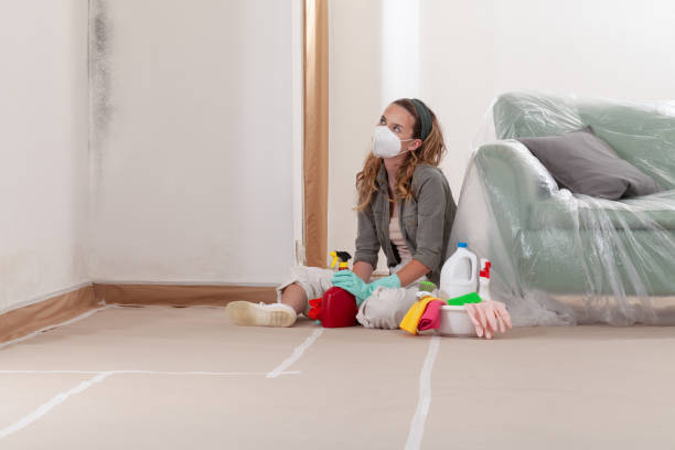 Reliable Mold Testing contractor in Osprey, FL by WQB Mold Removal